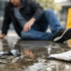 Slip and Fall Evidence Massachusetts That Matters